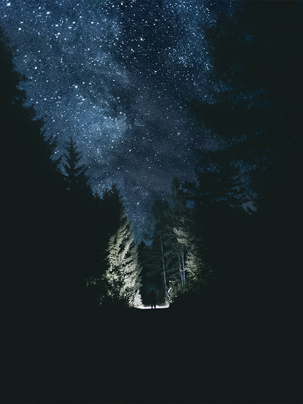 Projekt 10