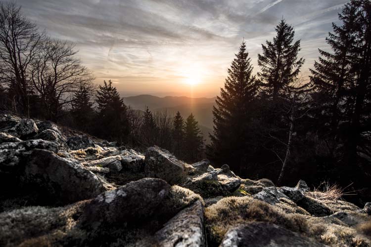 Thueringer Wald