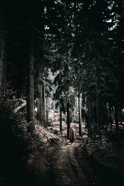Fotografie Thueringer Wald